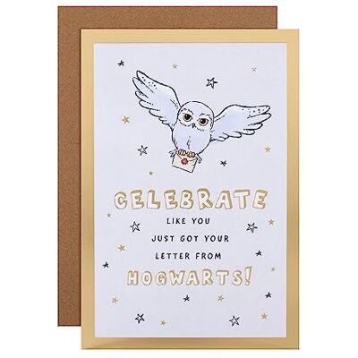 Hallmark Carte d'anniversaire Harry Potter Hedwige Hibou et Lettre - Publicité Hallmark Carte d'anniversaire Harry Potter Hedwige Hibou et Lettre - Publicité