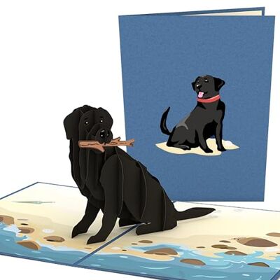 Lovepop ® Carte pop-up 3D chien labrador noir Motif universel pour toutes les occasions, par exemple les vœux de vacances et les anniversaires Avec compartiment cachette pour l'argent et les bons - Publicité Lovepop ® Carte pop-up 3D chien labrador noir Motif universel pour toutes les occasions, par exemple les vœux de vacances et les anniversaires Avec compartiment cachette pour l'argent et les bons - Publicité