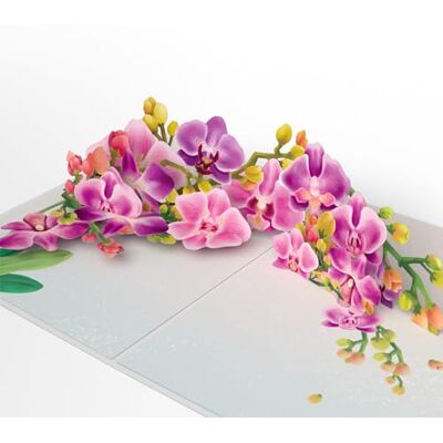 Lovepop Carte pop-up aquarelle orchidée – Carte de vœux 3D pour lui, elle, ami, collègue de travail (condoléances, anniversaire, guérison, Saint-Valentin) 12,7 x 17,8 cm avec enveloppe - Publicité Lovepop Carte pop-up aquarelle orchidée – Carte de vœux 3D pour lui, elle, ami, collègue de travail (condoléances, anniversaire, guérison, Saint-Valentin) 12,7 x 17,8 cm avec enveloppe - Publicité