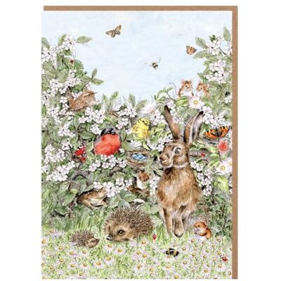 Wrendale Designs Hidden in the Hedgerow' Nature Lot de cartes - Publicité Wrendale Designs Hidden in the Hedgerow' Nature Lot de cartes - Publicité