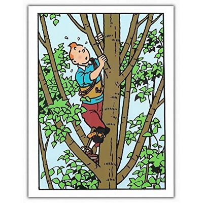 Tintin Carte postale double Moulinsart , dans l'arbre (12,5x17,5cm) - Publicité Tintin Carte postale double Moulinsart , dans l'arbre (12,5x17,5cm) - Publicité