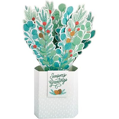 Hallmark Paper Wonder Carte de Noël pop-up Motif bouquet de plantes en papier - Publicité Hallmark Paper Wonder Carte de Noël pop-up Motif bouquet de plantes en papier - Publicité