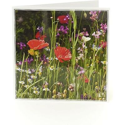 UK Greetings Carte de vœux vierge Motif coquelicot sauvage - Publicité UK Greetings Carte de vœux vierge Motif coquelicot sauvage - Publicité