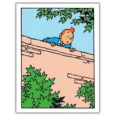 Tintin Carte postale double Moulinsart , sur le mur (12,5x17,5cm) - Publicité Tintin Carte postale double Moulinsart , sur le mur (12,5x17,5cm) - Publicité