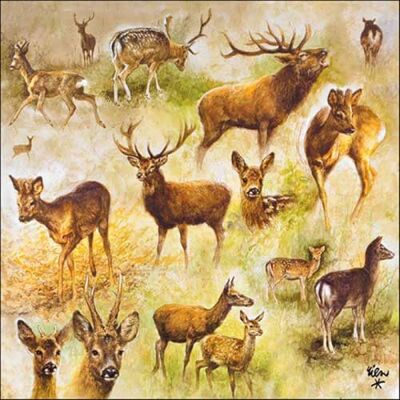 Ambiente Lot de 20 serviettes en papier avec motif collage sur cerfs et cerfs Idéales pour le découpage et la technique des serviettes 33 x 33 cm - Publicité Ambiente Lot de 20 serviettes en papier avec motif collage sur cerfs et cerfs Idéales pour le découpage et la technique des serviettes 33 x 33 cm - Publicité