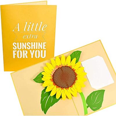 PopLife Cards mères de jardin tournesol jour carte pop up toutes les occasions - Publicité PopLife Cards mères de jardin tournesol jour carte pop up toutes les occasions - Publicité