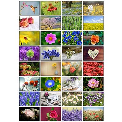 Panda Lot de 32 cartes de vœux pliables avec 32 enveloppes Motif fleurs et jardin - Publicité Panda Lot de 32 cartes de vœux pliables avec 32 enveloppes Motif fleurs et jardin - Publicité