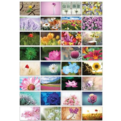 Panda Nature Selection Cartes postales : 32 cartes postales différentes avec différents thèmes naturels (belles fleurs) - Publicité Panda Nature Selection Cartes postales : 32 cartes postales différentes avec différents thèmes naturels (belles fleurs) - Publicité