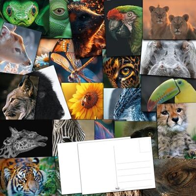 Panda 64 cartes postales macro gros plan de la nature Belles photos de la nature sous un angle différent - Publicité Panda 64 cartes postales macro gros plan de la nature Belles photos de la nature sous un angle différent - Publicité