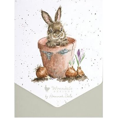 Wrendale Designs The Flower Pot Lot de cartes Lapin - Publicité Wrendale Designs The Flower Pot Lot de cartes Lapin - Publicité