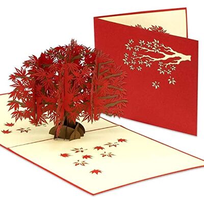 Lin PopUp®, POP UP cartes arbre, nature, anniversaire, carte de voeux arbre, cartes fête des mères, bon cadeau Japon érable, 17629, N362 - Publicité Lin PopUp®, POP UP cartes arbre, nature, anniversaire, carte de voeux arbre, cartes fête des mères, bon cadeau Japon érable, 17629, N362 - Publicité