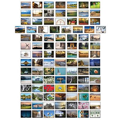 Panda Lot de 100 cartes postales différentes - Publicité Panda Lot de 100 cartes postales différentes - Publicité