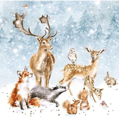 Wrendale Designs par Hannah Dale Pays des Merveilles Hivernales Lot de 8 cartes de Noël - Publicité Wrendale Designs par Hannah Dale Pays des Merveilles Hivernales Lot de 8 cartes de Noël - Publicité