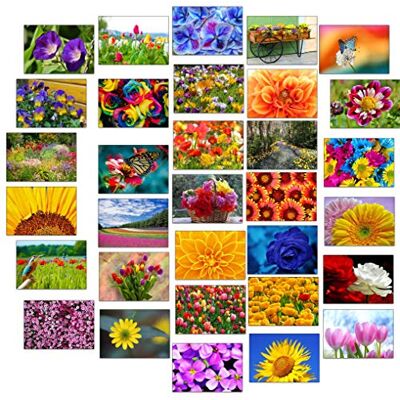 Panda Lot de 32 cartes de vœux pliantes colorées avec 32 enveloppes Motif fleurs et jardin - Publicité Panda Lot de 32 cartes de vœux pliantes colorées avec 32 enveloppes Motif fleurs et jardin - Publicité