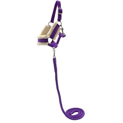 PFIFF Hobby Horse 103129 Licol « Little Lou » avec sous-Couche en Fourrure Moelleuse et Longe, Taille réglable, Violet - Publicité PFIFF Hobby Horse 103129 Licol « Little Lou » avec sous-Couche en Fourrure Moelleuse et Longe, Taille réglable, Violet - Publicité