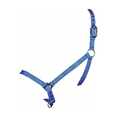 Licol bovin COMICE bleu unisexe - Halters - Publicité Licol bovin COMICE bleu unisexe - Halters - Publicité