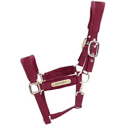 Kentucky Licol velvet bordeaux full - Publicité Kentucky Licol velvet bordeaux full - Publicité