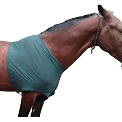 Majestic Protège-épaules en Lycra Stretch pour Cheval (Grand, Vert Chasseur) - Publicité Majestic Protège-épaules en Lycra Stretch pour Cheval (Grand, Vert Chasseur) - Publicité