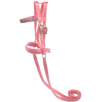 PFIFF 103126 Lotty Bridon pour Chevaux de Jeu et de Bois, Mors pour Cheval de Jeu, Taille Unique, Rose - Publicité PFIFF 103126 Lotty Bridon pour Chevaux de Jeu et de Bois, Mors pour Cheval de Jeu, Taille Unique, Rose - Publicité