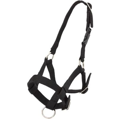PFIFF 103101 Pako Licol à Taille réglable pour alpagas avec Fermeture à Clip Noir - Publicité PFIFF 103101 Pako Licol à Taille réglable pour alpagas avec Fermeture à Clip Noir - Publicité