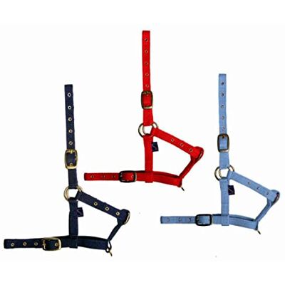 Tattini Licol pour Cheval Poulain en Nylon - Publicité Tattini Licol pour Cheval Poulain en Nylon - Publicité