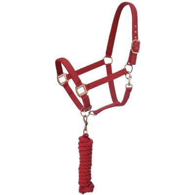 Tough 1 Licol rembourré en néoprène avec kit de Laisse Antique Rouge - Publicité Tough 1 Licol rembourré en néoprène avec kit de Laisse Antique Rouge - Publicité