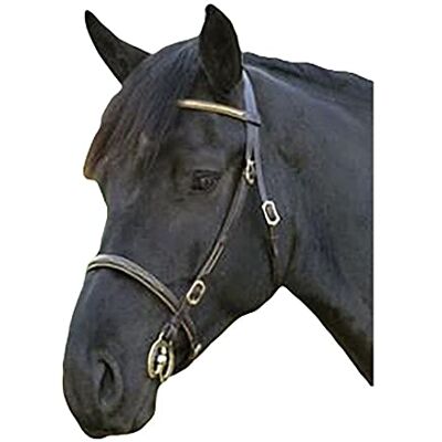Shires Blenheim Clincher Inhand Bride pour cheval Noir - Publicité Shires Blenheim Clincher Inhand Bride pour cheval Noir - Publicité
