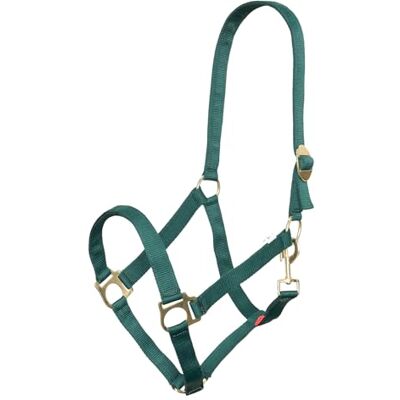 Imperial Riding Licol économique en Nylon Robuste de 25 mm Boucle coulissante réglable Sangle Mousqueton Durable et Facile d'entretien pour l'entraînement, l'écurie et la Vie Quotidienne - Publicité Imperial Riding Licol économique en Nylon Robuste de 25 mm Boucle coulissante réglable Sangle Mousqueton Durable et Facile d'entretien pour l'entraînement, l'écurie et la Vie Quotidienne - Publicité