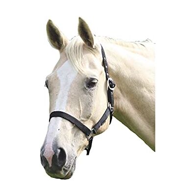 Shires Wessex Head Collar Pony Black - Publicité Shires Wessex Head Collar Pony Black - Publicité