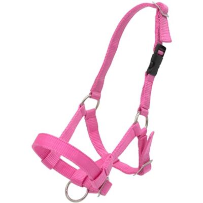 PFIFF 103101 Pako Licol à Taille réglable pour alpagas avec Fermeture à Clip Rose - Publicité PFIFF 103101 Pako Licol à Taille réglable pour alpagas avec Fermeture à Clip Rose - Publicité
