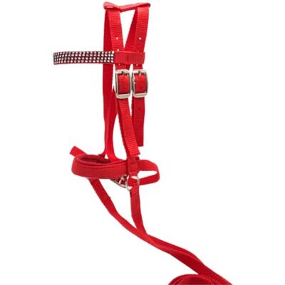 PFIFF 103126 Lotty Bridon pour Chevaux de Jeu et de Bois, Mors pour Chevaux de Jeu, Taille Unique, Rouge - Publicité PFIFF 103126 Lotty Bridon pour Chevaux de Jeu et de Bois, Mors pour Chevaux de Jeu, Taille Unique, Rouge - Publicité