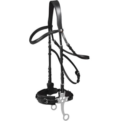Waldhausen X-Line Hackamore Trensenzaum, Schwarz, Vollblut - Publicité Waldhausen X-Line Hackamore Trensenzaum, Schwarz, Vollblut - Publicité