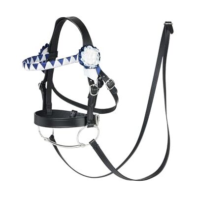 LeMieux Bride de présentation de cheval Hobby – Convient aux chevaux de loisirs – Cuir avec boucles fonctionnelles – Bandeau d'exposition – Noir - Publicité LeMieux Bride de présentation de cheval Hobby – Convient aux chevaux de loisirs – Cuir avec boucles fonctionnelles – Bandeau d'exposition – Noir - Publicité