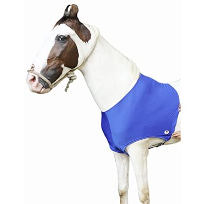 Majestic Protège-épaules en Lycra Stretch pour Cheval (Grand, Bleu Royal) - Publicité Majestic Protège-épaules en Lycra Stretch pour Cheval (Grand, Bleu Royal) - Publicité