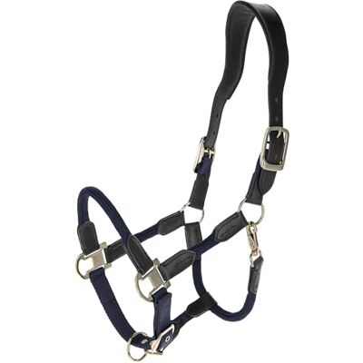Covalliero Licol Cordano Deluxe FS26 Licol robuste pour chevaux Ajustement optimal Licol de cheval avec mousqueton et sangle de cou en cuir Bleu foncé (Dark Navy) Plein sang - Publicité Covalliero Licol Cordano Deluxe FS26 Licol robuste pour chevaux Ajustement optimal Licol de cheval avec mousqueton et sangle de cou en cuir Bleu foncé (Dark Navy) Plein sang - Publicité