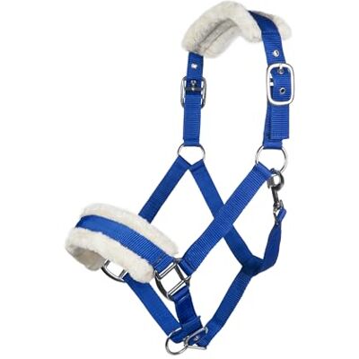 HKM 11796 Licol d'évêque rembourré en peluche pour cheval Bleu roi poney - Publicité HKM 11796 Licol d'évêque rembourré en peluche pour cheval Bleu roi poney - Publicité