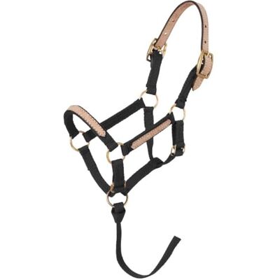 Tough 1 Licol Miniature Amovible en Nylon, Noir, Taille L - Publicité Tough 1 Licol Miniature Amovible en Nylon, Noir, Taille L - Publicité