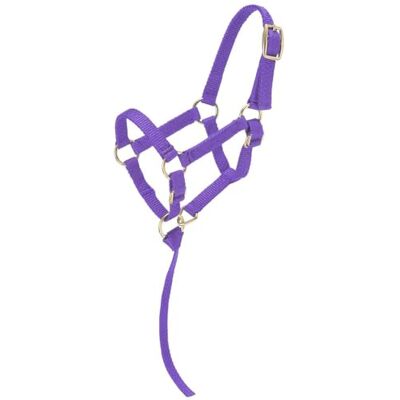 Tough 1 Licol Miniature Robuste 1 en Nylon, , Violet, S Mini. Publicité Tough 1 Licol Miniature Robuste 1 en Nylon, , Violet, S Mini. Publicité