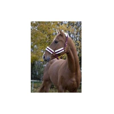 Harnais Symantec NORTON Confort Cheval Bourgogne Rosé - Halter pour chevaux - Publicité Harnais Symantec NORTON Confort Cheval Bourgogne Rosé - Halter pour chevaux - Publicité