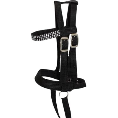PFIFF 103126 Lotty Bridon pour Chevaux de Jeu et de Bois, Mors pour Chevaux de Jeu, Taille Unique, Noir - Publicité PFIFF 103126 Lotty Bridon pour Chevaux de Jeu et de Bois, Mors pour Chevaux de Jeu, Taille Unique, Noir - Publicité