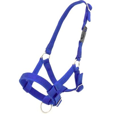 PFIFF 103101 Pako Licol en alpaga avec Fermeture à Clip Bleu foncé Taille réglable - Publicité PFIFF 103101 Pako Licol en alpaga avec Fermeture à Clip Bleu foncé Taille réglable - Publicité