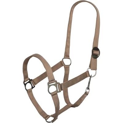 Imperial Riding Licol économique Robuste en Nylon de 25 mm avec Boucle coulissante réglable Sangle de Homard Durable et Facile d'entretien pour l'entraînement Stable et Utilisation Quotidienne - Publicité Imperial Riding Licol économique Robuste en Nylon de 25 mm avec Boucle coulissante réglable Sangle de Homard Durable et Facile d'entretien pour l'entraînement Stable et Utilisation Quotidienne - Publicité