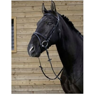 EKKIA RIDING WORLD Bridon Combinée Couleurs Noir, Taille Equipement Cheval Cheval - Publicité EKKIA RIDING WORLD Bridon Combinée Couleurs Noir, Taille Equipement Cheval Cheval - Publicité