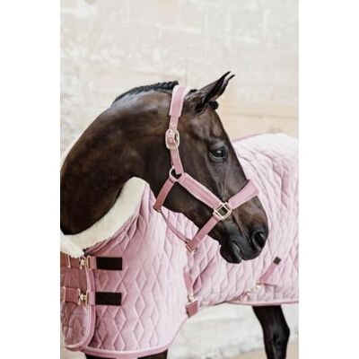 Kentucky Licol COB Vieux rose Velours - Publicité Kentucky Licol COB Vieux rose Velours - Publicité