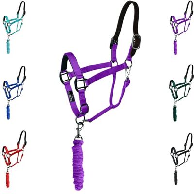 Majestic Licol en cuir avec laisse assortie pour chevaux Couronne détachée en cuir Mentonnière réglable Loquet de gorge roulé Muserolle rembourrée Full (violet, complèt) - Publicité Majestic Licol en cuir avec laisse assortie pour chevaux Couronne détachée en cuir Mentonnière réglable Loquet de gorge roulé Muserolle rembourrée Full (violet, complèt) - Publicité