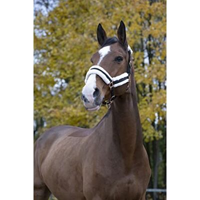 Symantec Norton Licol Confort Couleurs Noir, Taille Equipement Cheval COB - Publicité Symantec Norton Licol Confort Couleurs Noir, Taille Equipement Cheval COB - Publicité