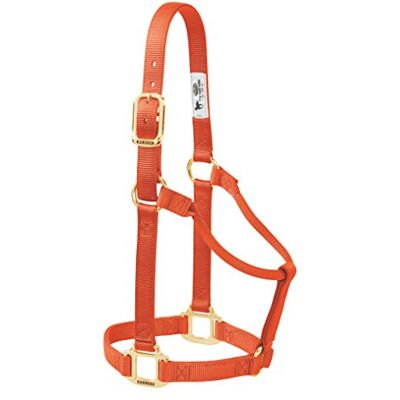 Weaver Leather Original Halte de cheval en nylon non ajustable - Halter pour cheval - Publicité Weaver Leather Original Halte de cheval en nylon non ajustable - Halter pour cheval - Publicité