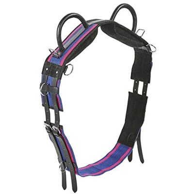 Surfaix double Busse, Mixte, Navy/passion Pink, Warmblut (umfang 165 235 Cm) - Publicité Surfaix double Busse, Mixte, Navy/passion Pink, Warmblut (umfang 165 235 Cm) - Publicité