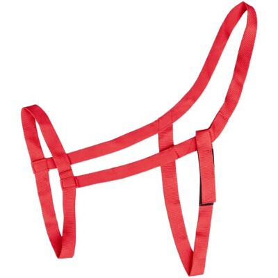 Waldhausen Weidehalfter, rot, PON - Publicité Waldhausen Weidehalfter, rot, PON - Publicité