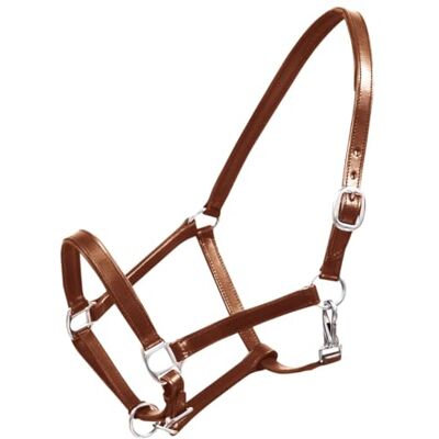vidaXL Licol Licou en Cuir réglable pour écurie Cheval Marron - Publicité vidaXL Licol Licou en Cuir réglable pour écurie Cheval Marron - Publicité